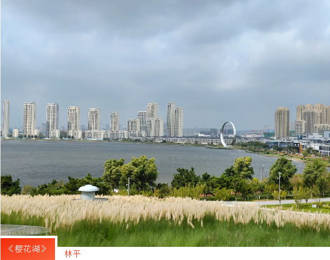 广东会vip·贵宾厅(集团)官方网站