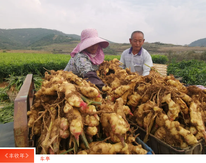 广东会vip·贵宾厅(集团)官方网站