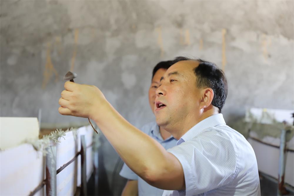 广东会vip·贵宾厅(集团)官方网站