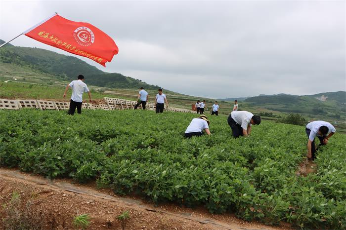 广东会vip·贵宾厅(集团)官方网站