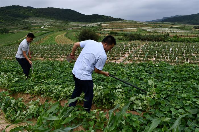 广东会vip·贵宾厅(集团)官方网站