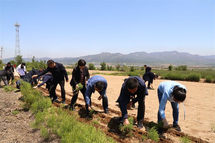 广东会vip·贵宾厅(集团)官方网站