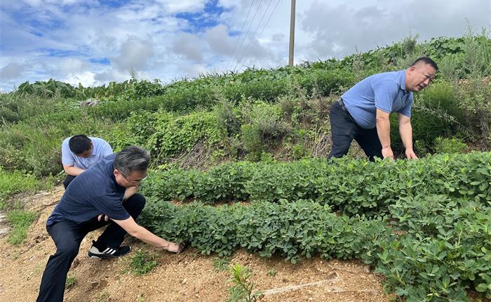 广东会vip·贵宾厅(集团)官方网站