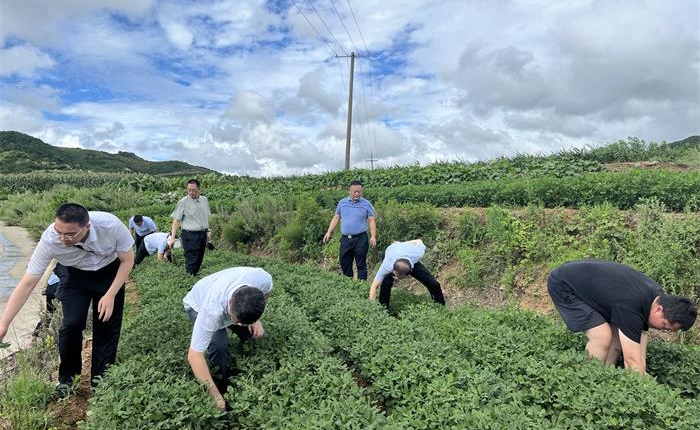 广东会vip·贵宾厅(集团)官方网站