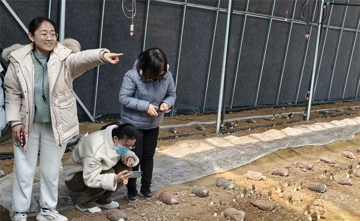 广东会vip·贵宾厅(集团)官方网站