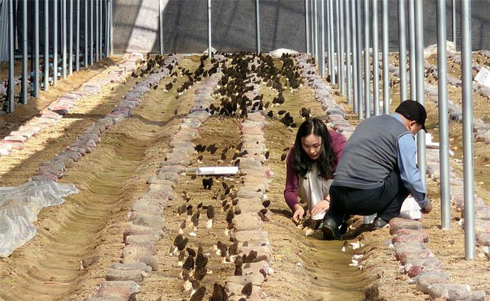 广东会vip·贵宾厅(集团)官方网站