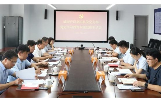威海产投集团党委组织召开党史学习教育专题组织生活会